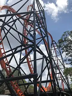 Tigris à Busch Gardens Tampa