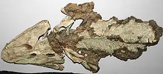 Description de cette image, également commentée ci-après