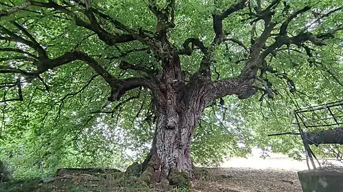 Vu depuis le sud-ouest.