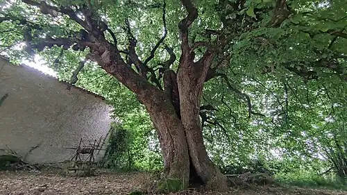 Vu depuis l'est (côté ouvert).