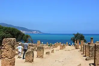 Les ruines romaines de  Tipaza