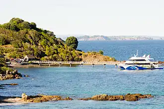 Port de Tiritiri Matangi
