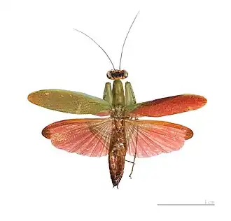 Description de cette image, également commentée ci-après