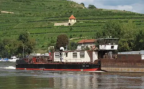 Vignobles surplombant l'Elbe.