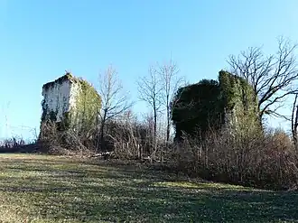 Image illustrative de l’article Château de Vernode