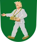 Blason de Toivakka
