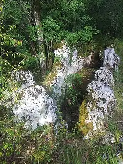 Allées funéraires de Grézac