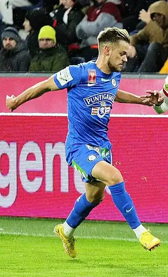 Image illustrative de l’article Tomi Horvat