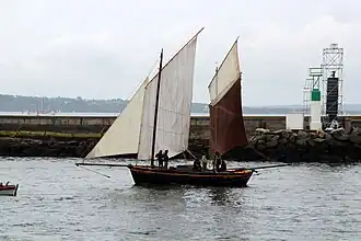 illustration de Rose of Argyll