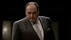 Image illustrative de l’article Tony Soprano