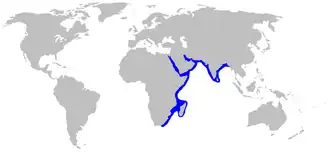 Description de cette image, également commentée ci-après