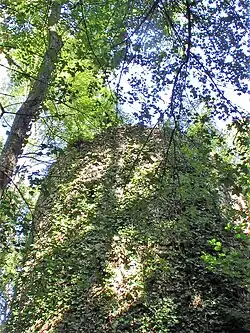 La tour surprend le visiteur, dissimulée par la végétation...
