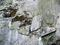 ... on ne peut plus grimper dans les étages.