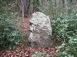 Le menhir.