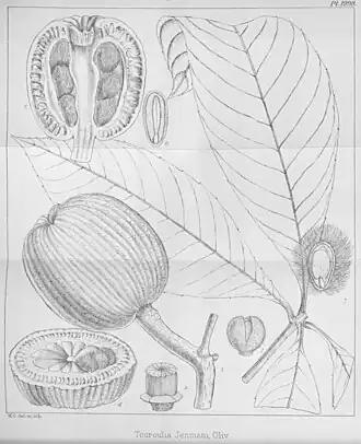 Description de cette image, également commentée ci-après