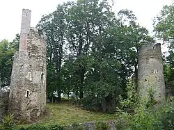 Ruines de l'ancien logis du château.