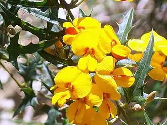 Description de cette image, également commentée ci-après