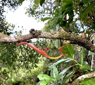 Description de cette image, également commentée ci-après