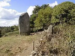 Image illustrative de l’article Menhirs de Keranscot