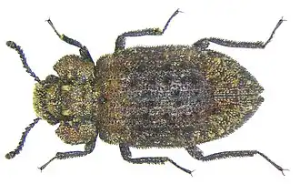 Description de cette image, également commentée ci-après