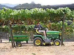 Tracteur vigneron dans une vigne en hautain à Los Altos.