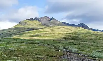 Landes de Skaftafellsheiði, avec vue des pics Kristínartindar.