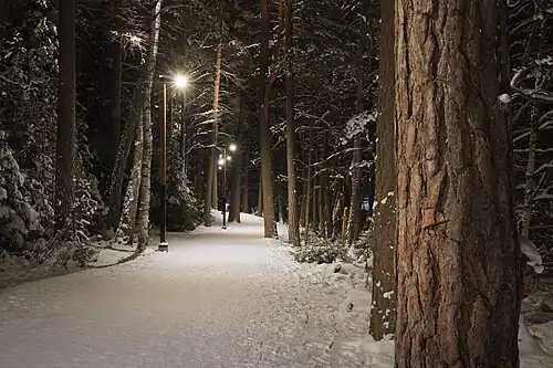 Piste éclairée du lac Kuusijärvi.