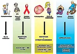 Traitement de la fièvre Q.