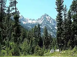 Image illustrative de l’article Forêt nationale de Bitterroot