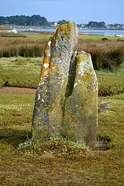 Image illustrative de l’article Menhir de Toëno
