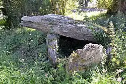Le dolmen de Roscoualc'h.