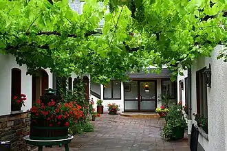 Treille à Rüdesheim am Rhein.