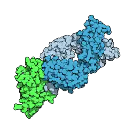 Image illustrative de l’article Trémélimumab