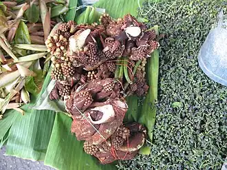 Inflorescences vendues au marché pour être cuisinées, au Laos.