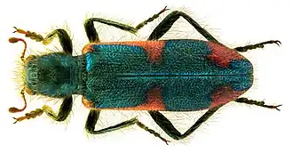 Description de cette image, également commentée ci-après