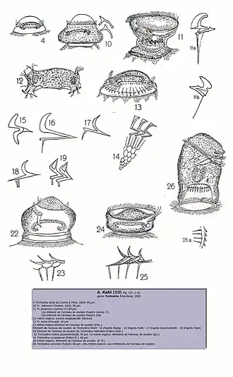 Description de cette image, également commentée ci-après