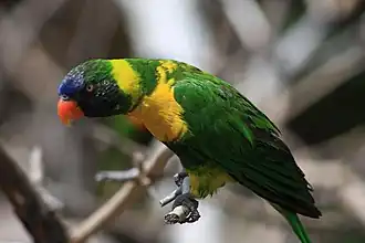 Description de cette image, également commentée ci-après