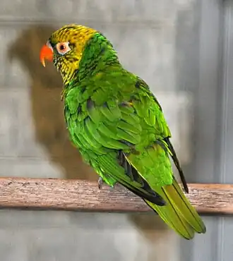 Description de cette image, également commentée ci-après