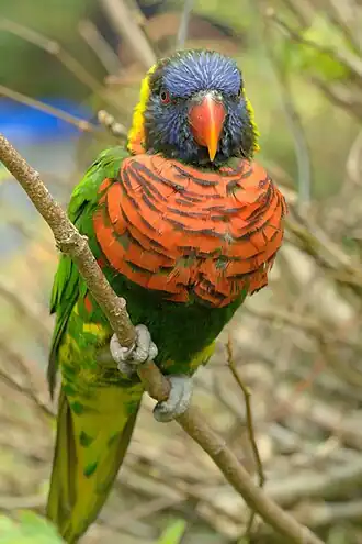 Description de cette image, également commentée ci-après