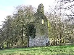 Trillick castle.