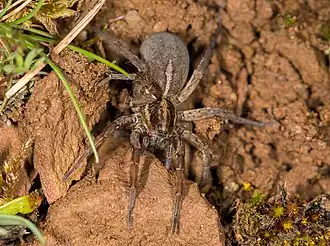 Description de cette image, également commentée ci-après