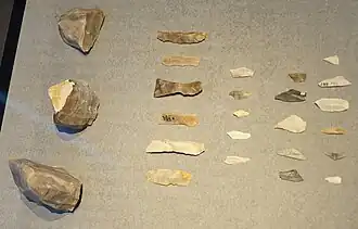 Nucléux et lamelles.