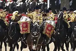 Plusieurs cavaliers et chevaux d'un régiment cérémoniel.