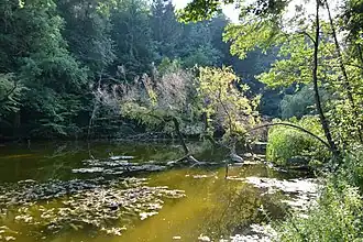 Nekroutnoe réserve naturelle.