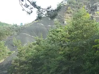 Marnes noires entrecoupées de petites strates calcaires.