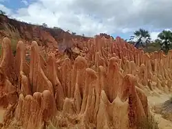 singy Rouge Antsiranana II