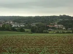 Vue panoramique de Tucquegnieux village.