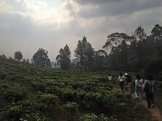 Tugu Selatan (Cisarua)