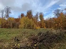 Tumuli de la forêt de Soignes