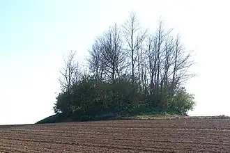 Tumulus de Vaux